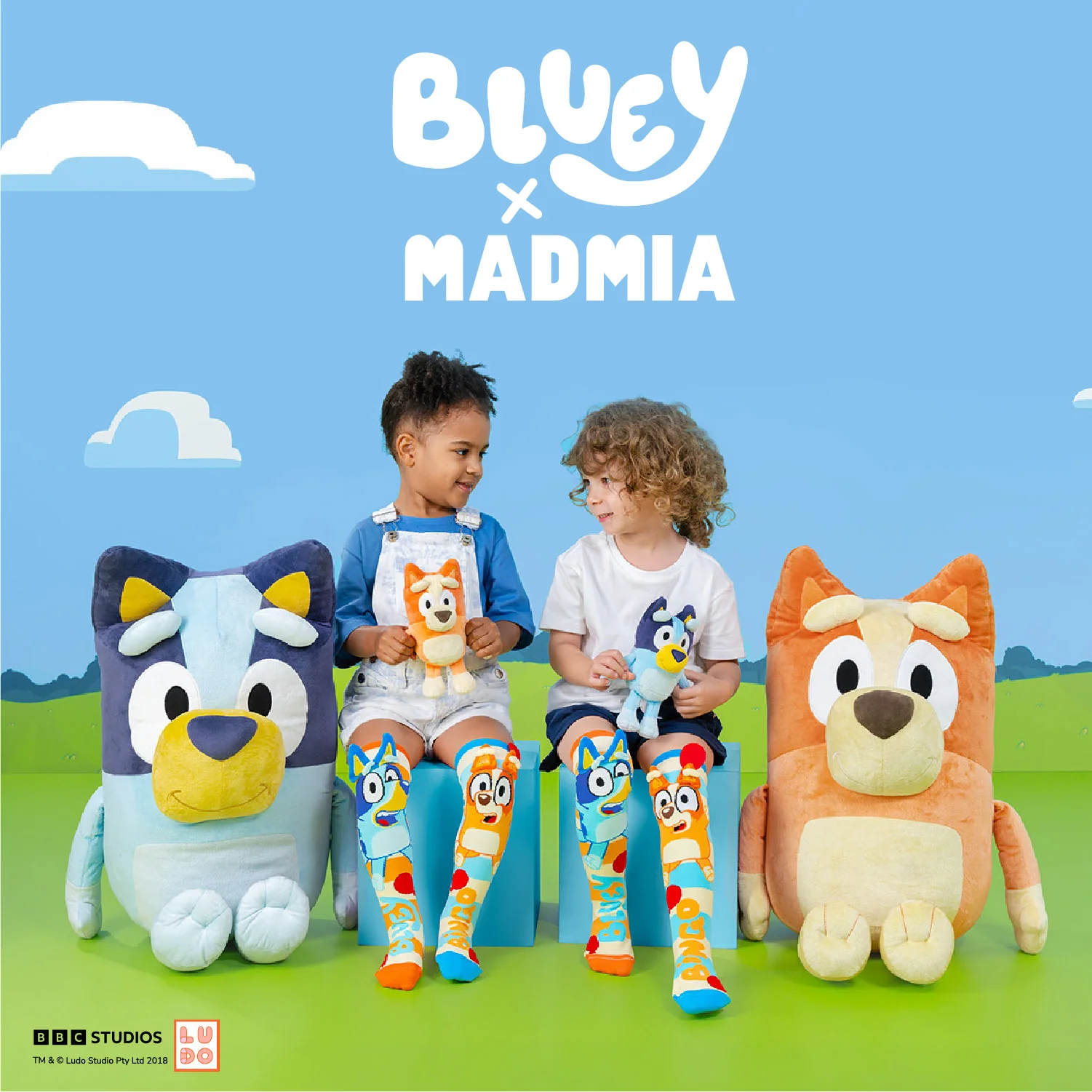 BLUEY SOCKS - Image 2
