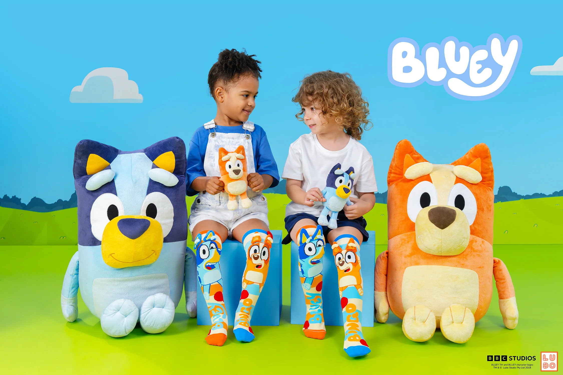 BLUEY SOCKS - Image 8